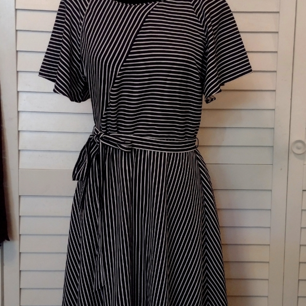 EUC Banana Republic Navy & White Stripe Short Sleeve Midi Dress (8)